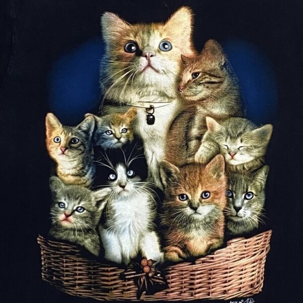 Wild Cats Black T-Shirt