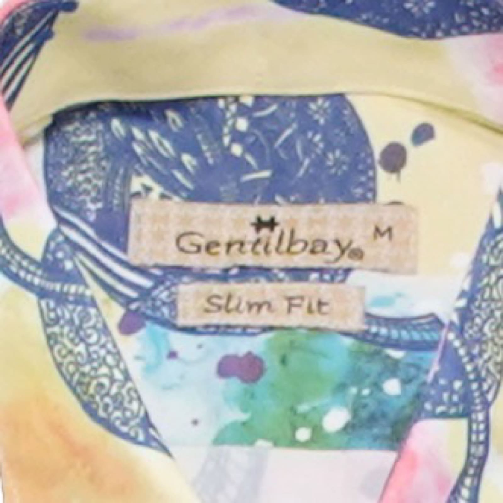 Pánská barevná vintage košile s dlouhým rukávem Gentilbay Crazy Shirt