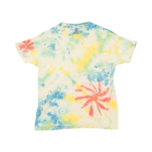 Pánské barevné batikované tričko značky Hanes s krátkým rukávem.. Tie-Dye Colour Mix T-Shirt