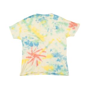 Pánské barevné batikované tričko značky Hanes s krátkým rukávem.. Tie-Dye Colour Mix T-Shirt
