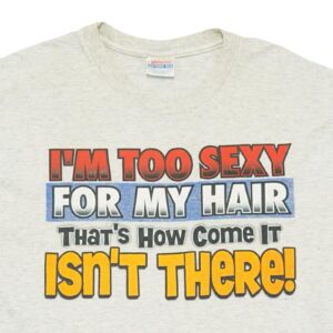 Pánské šedé melírované vintage tričko značky Hanes s krátkým rukávem a potiskem na přední straně.. Too Sexy Grey T-Shirt