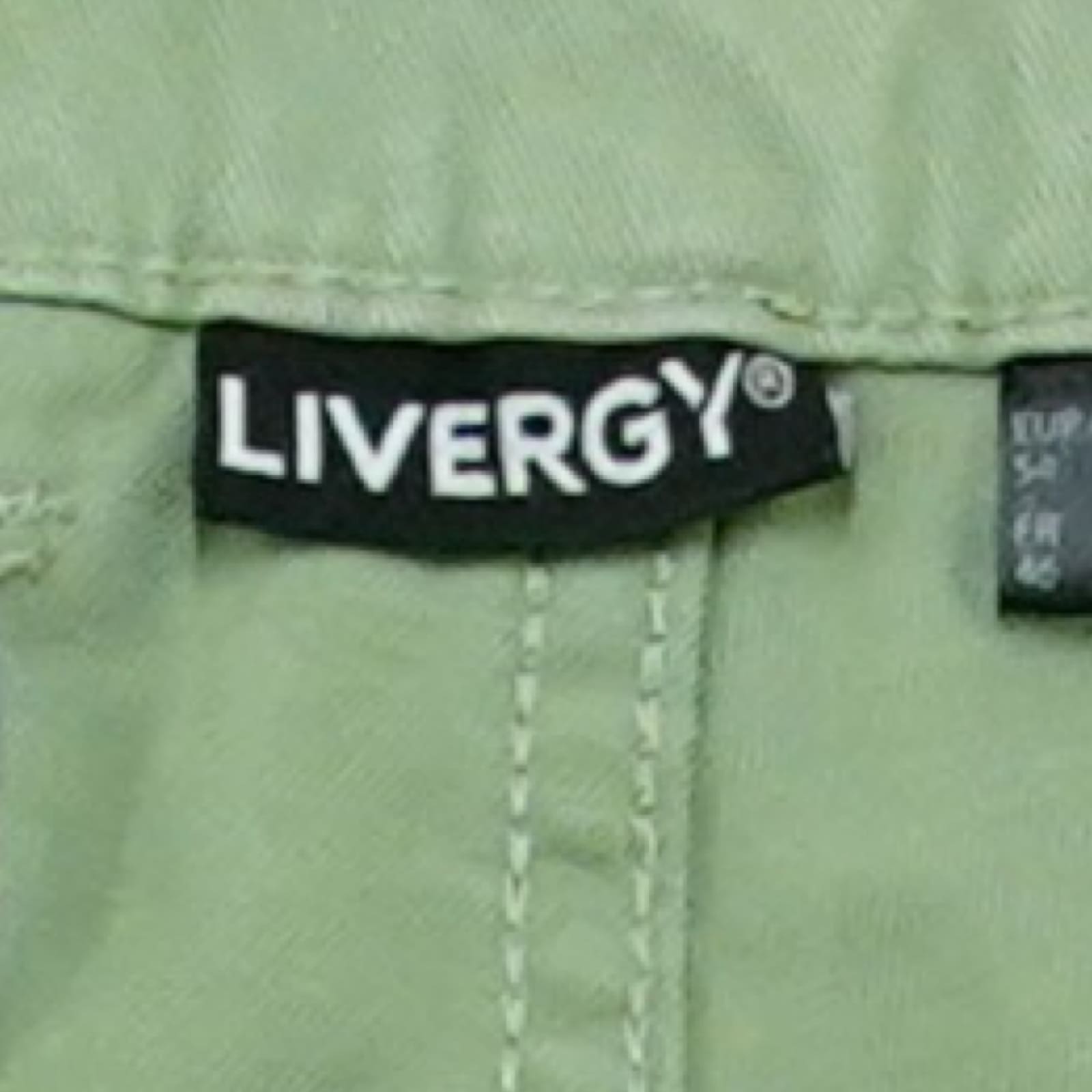 Pánské zelené kraťasy značky Livergy.. Livergy Green Shorts
